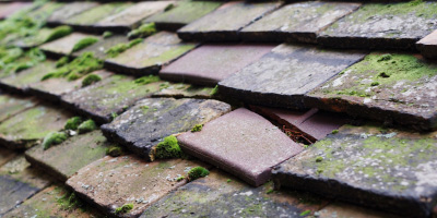 Barham roof repair costs